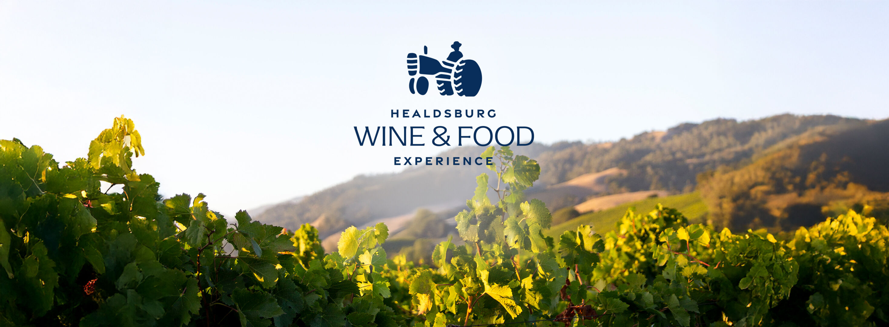 Healsburg Wine & Food Experience logo on an image of a vineyard