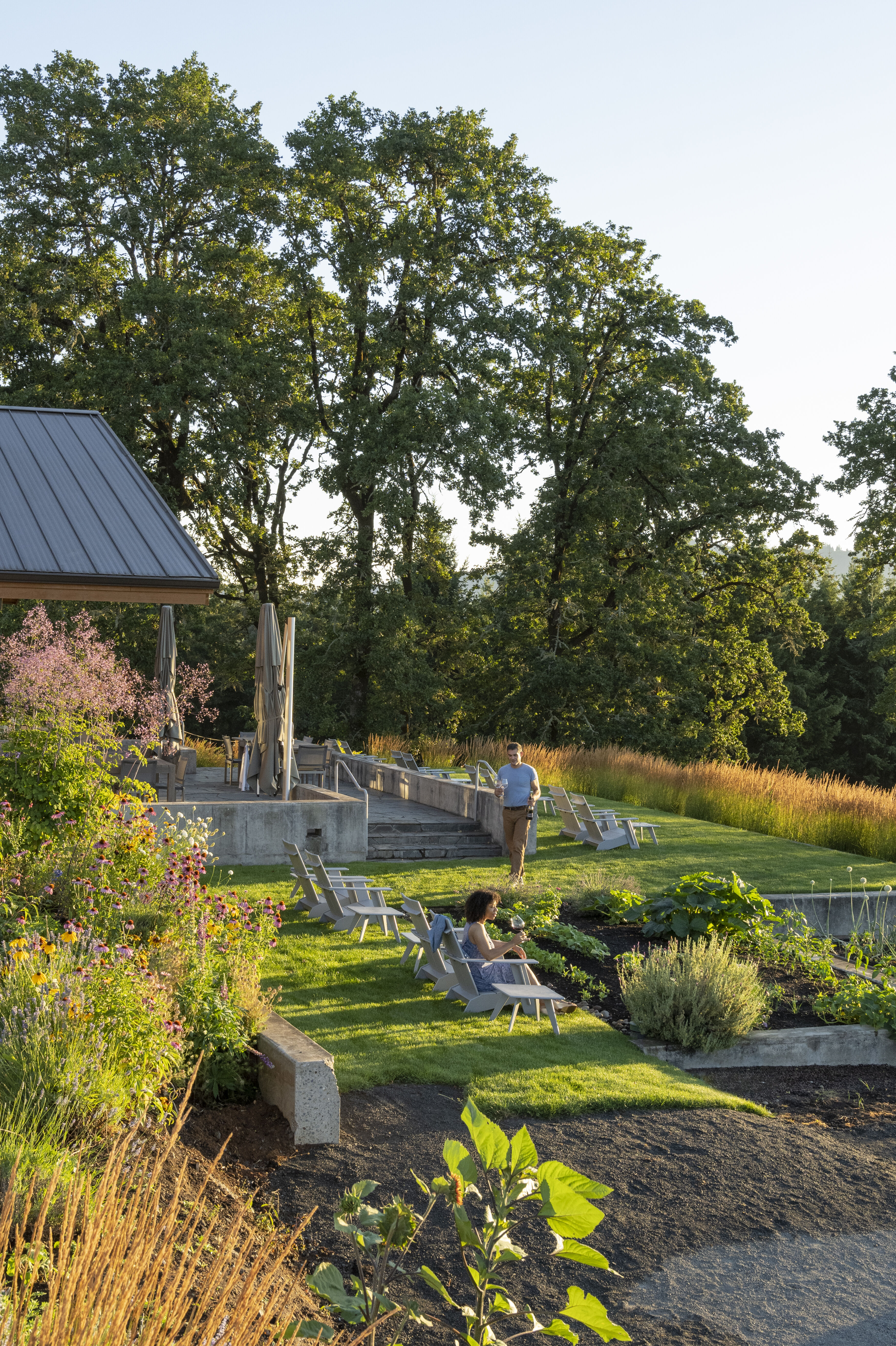 Penner-Ash winery