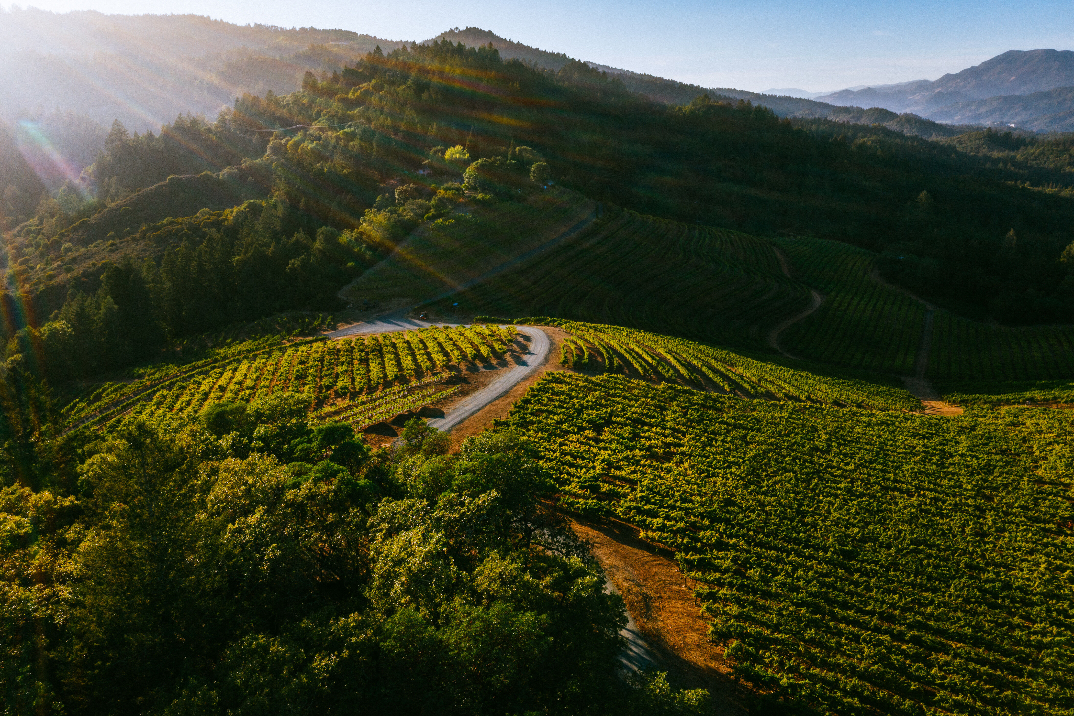 Arrowood Tasting Room and Estate Vineyard