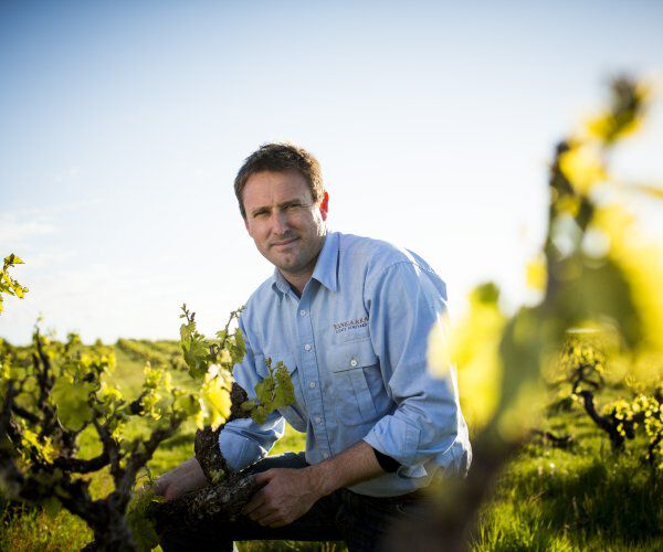 Peter Fraser, Yangara Winemaker