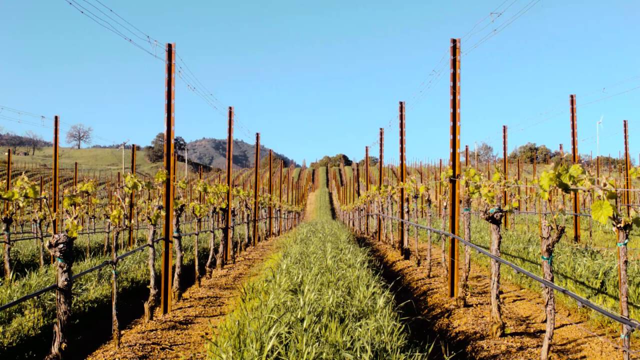 Kendall Jackson Vineyard with clouds overhead