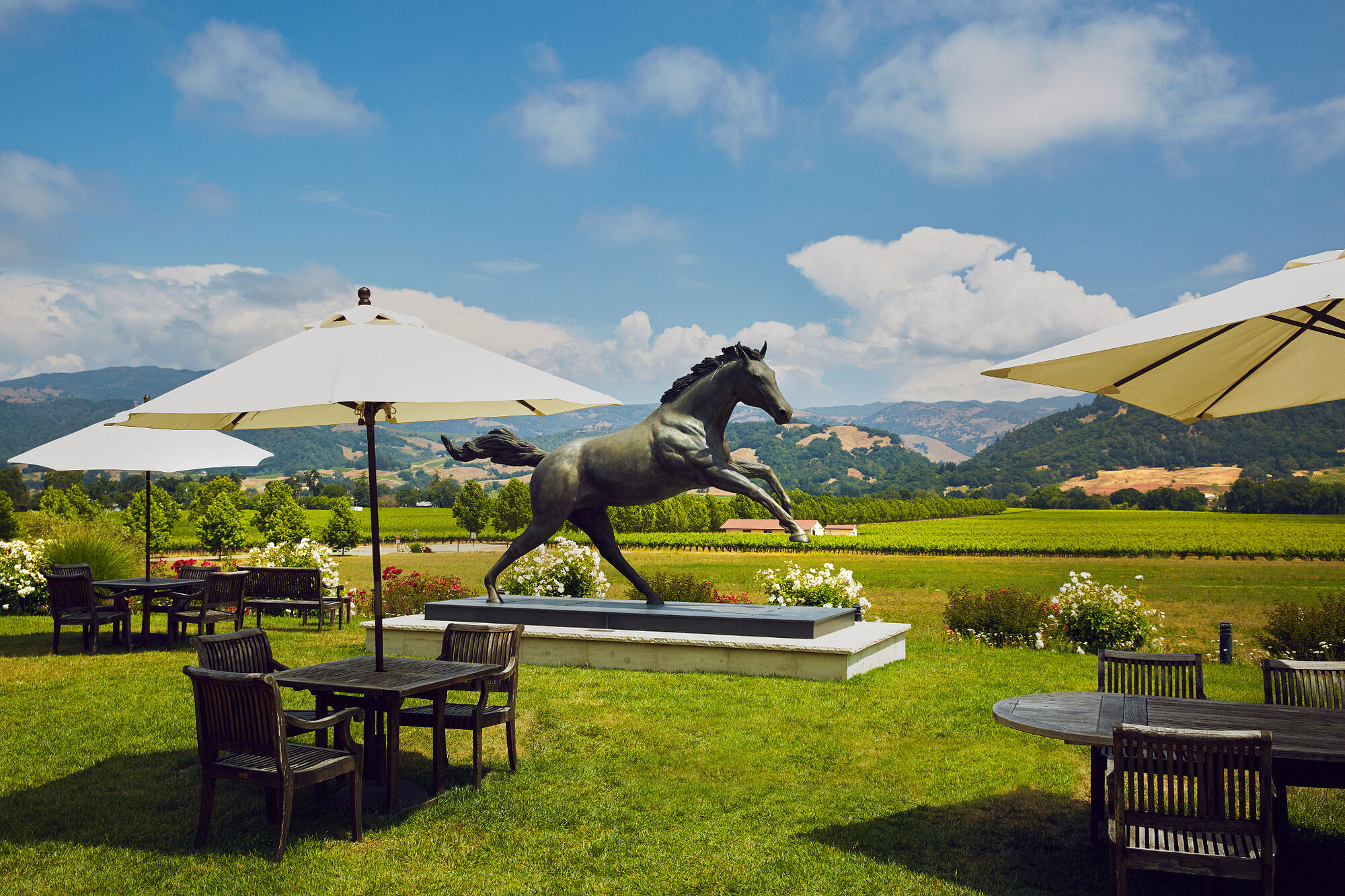 Stonestreet Estate tasting room views