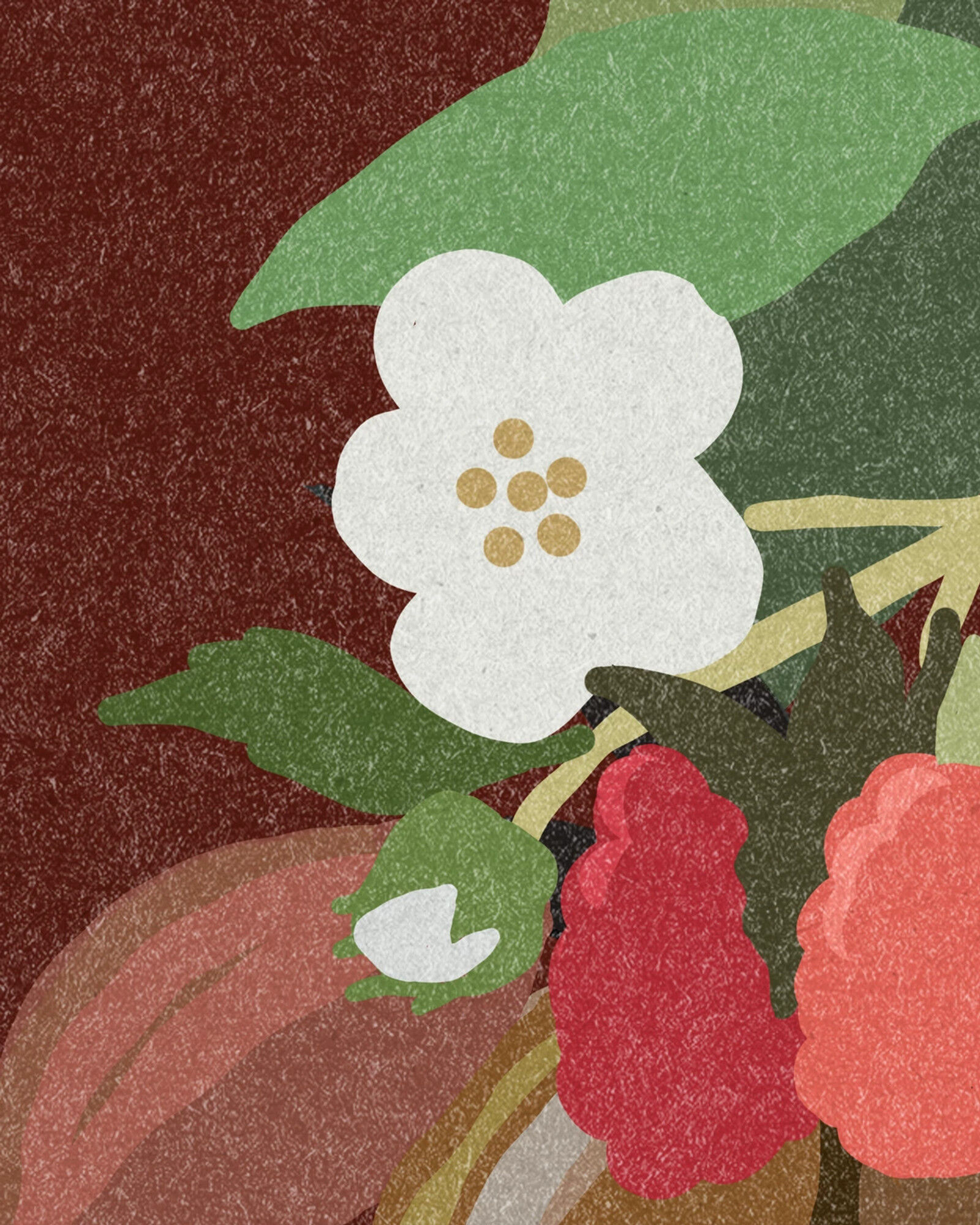 Jackson Park Vineyard Merlot