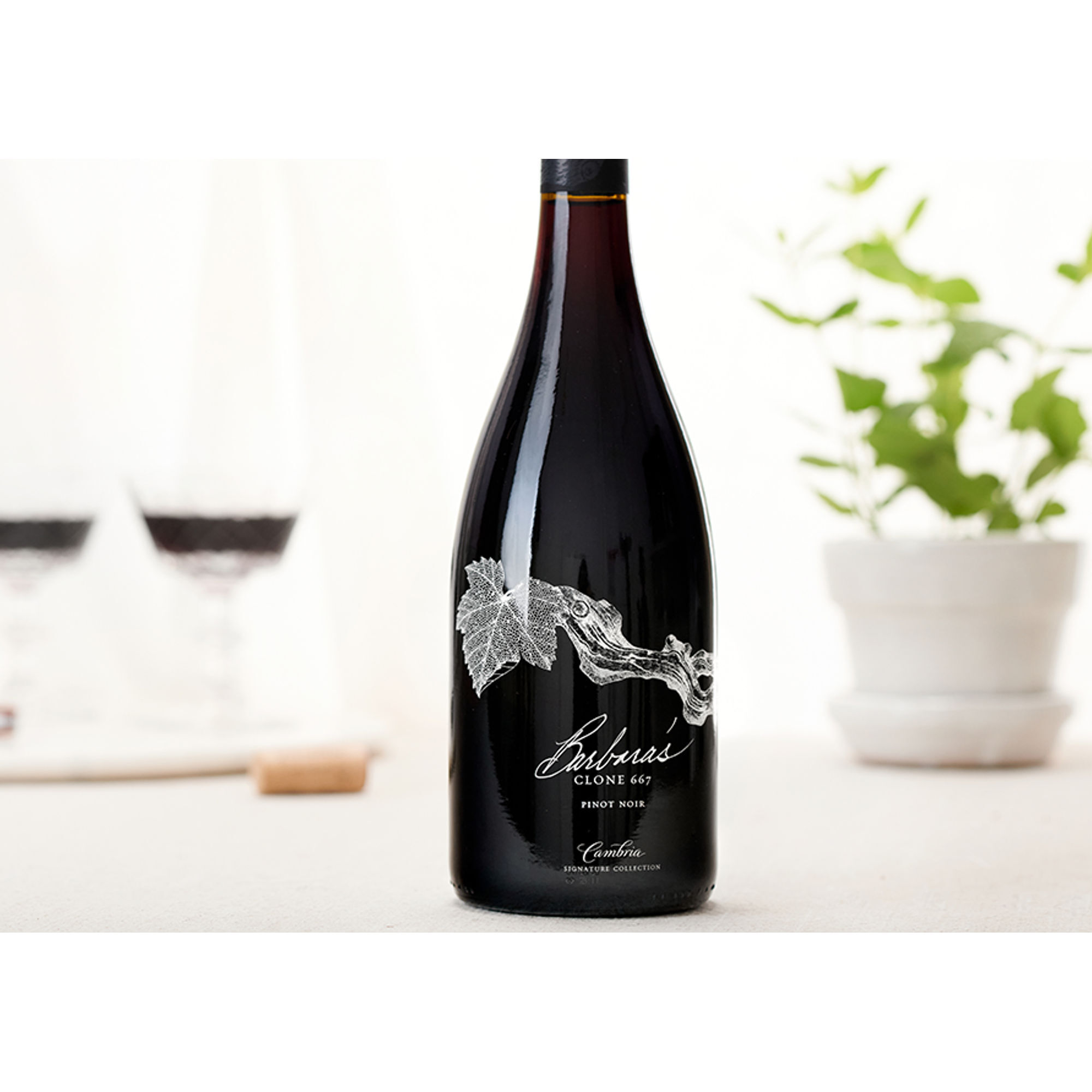 Barbara's Signature Pinot Noir