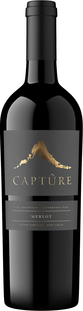 Pine Mountain Merlot