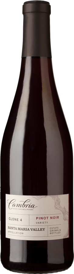Clone 4 Pinot Noir