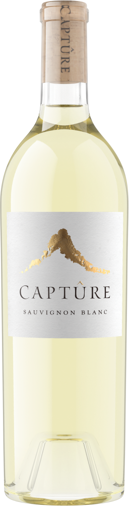 Tradition Sauvignon Blanc