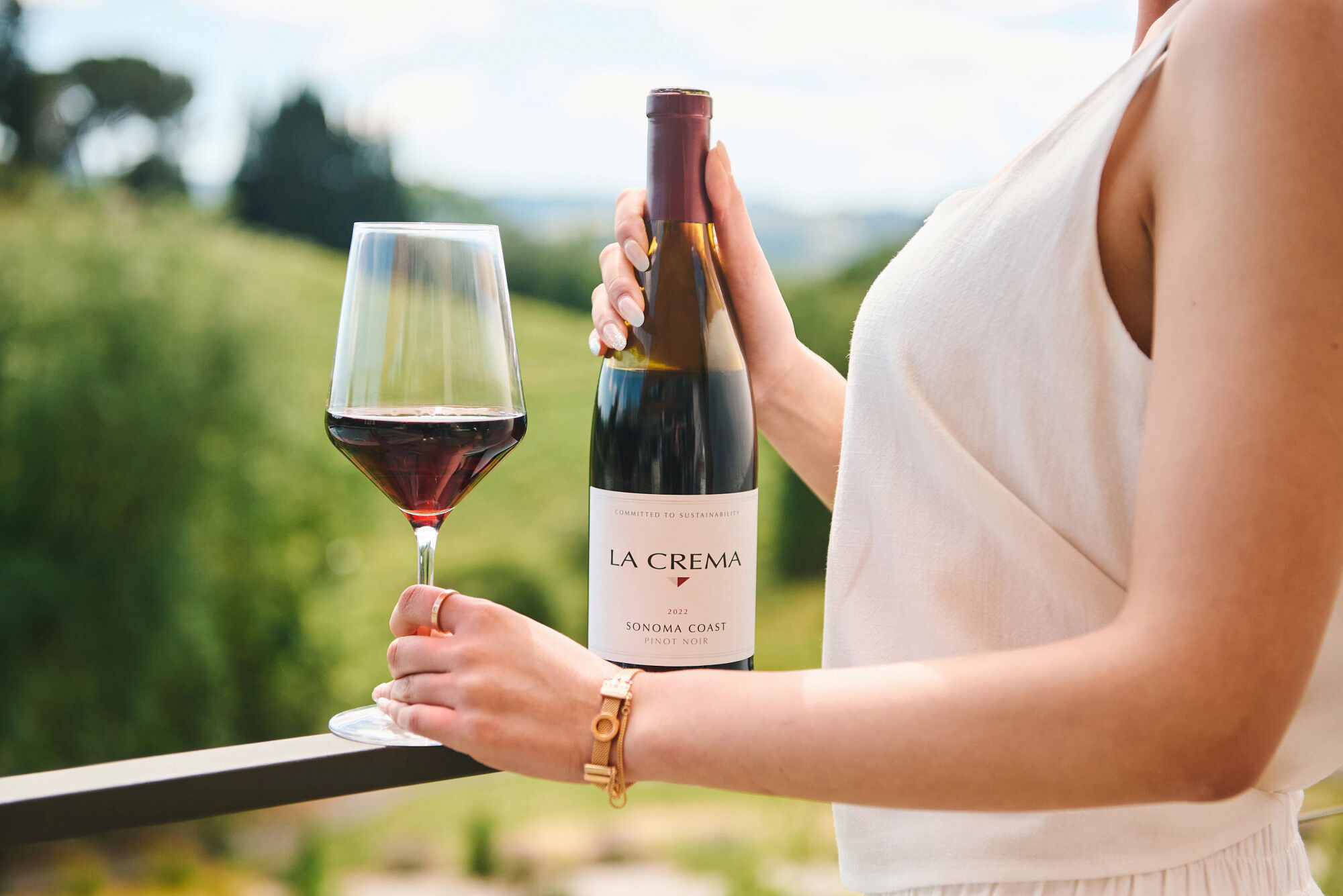 Sonoma Coast Pinot Noir - Half Bottle