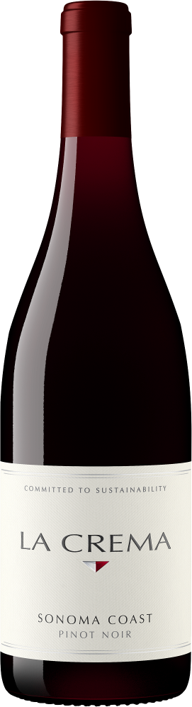 Sonoma Coast Pinot Noir - Half Bottle