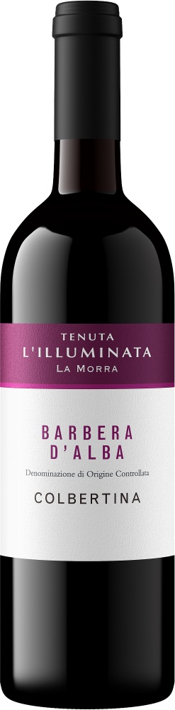 Colbertina Barbera
