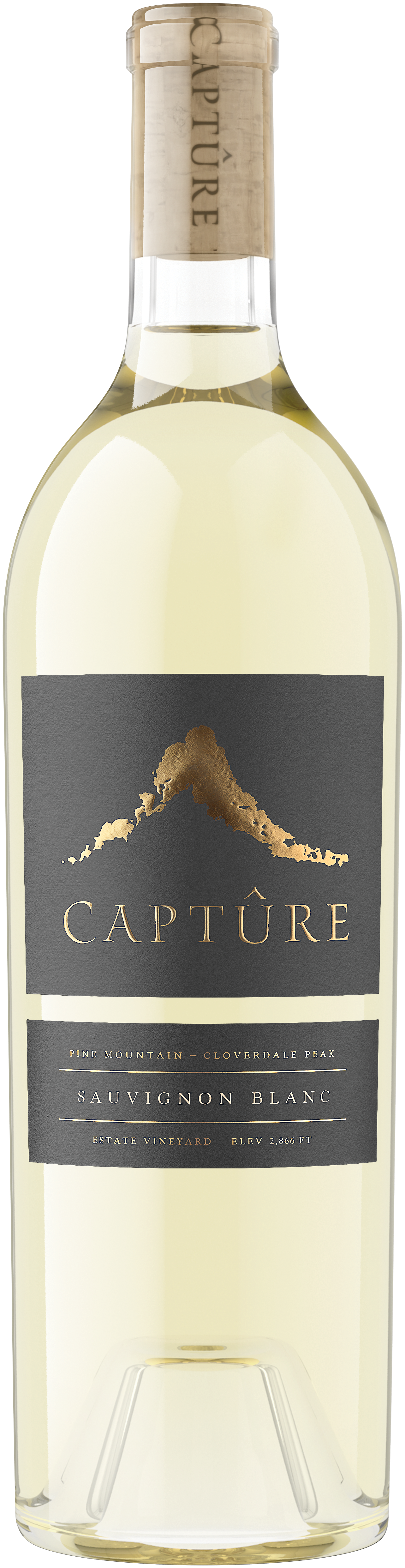 Pine Mountain Sauvignon Blanc 2023