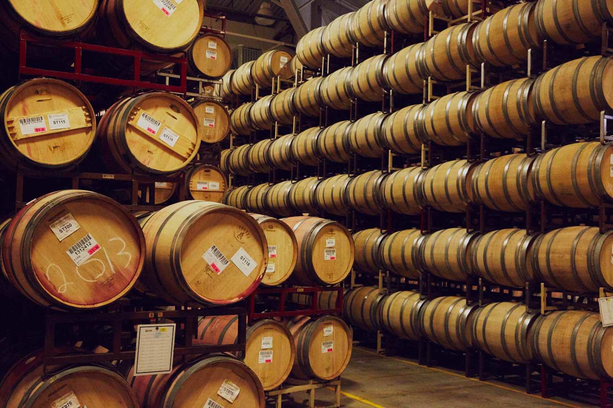 Bear Point Cabernet Sauvignon