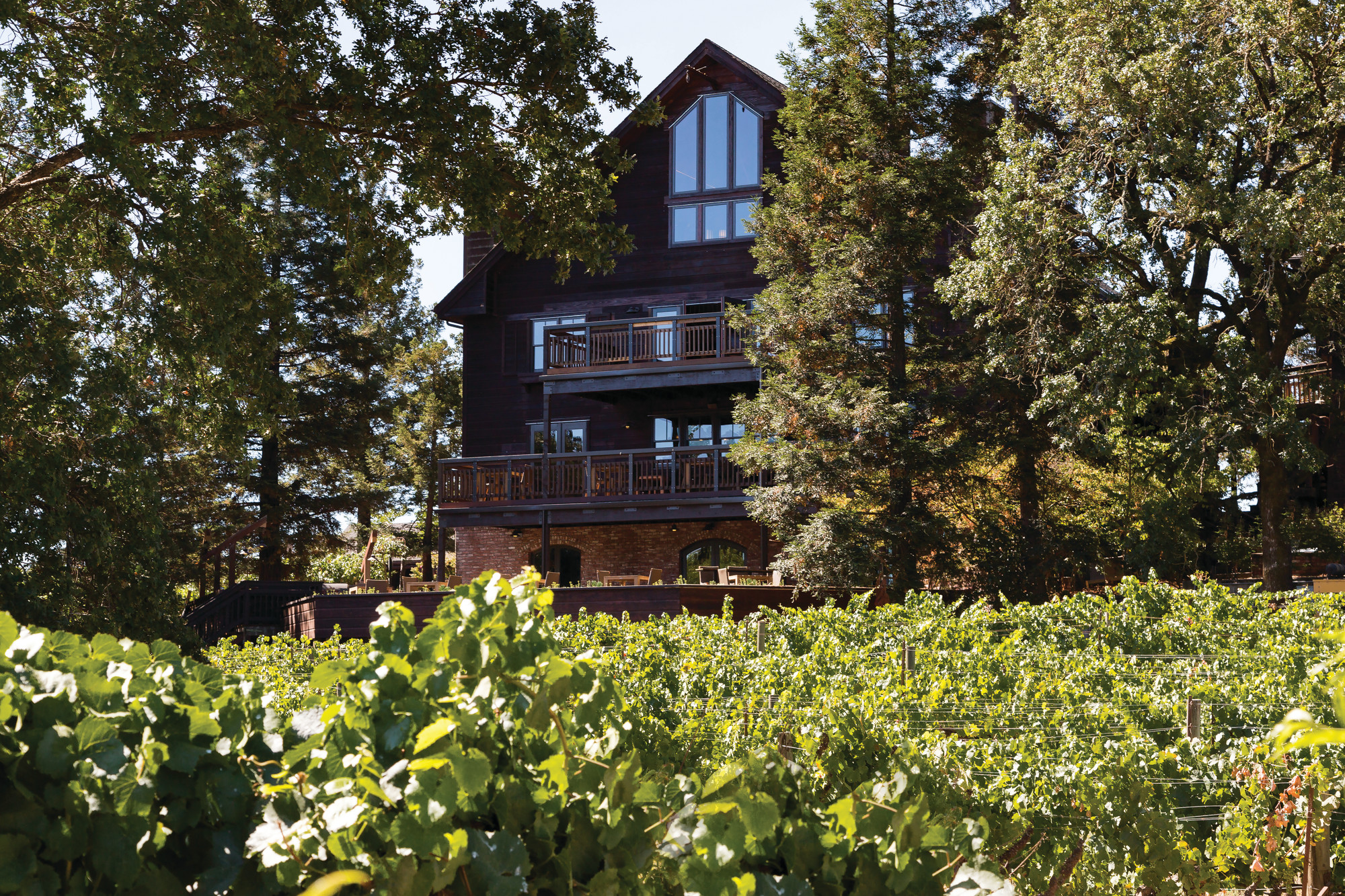 Sealift Vineyard Pinot Noir