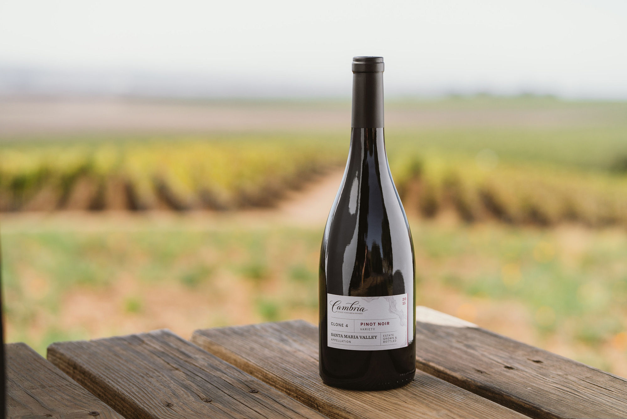 Clone 4 Pinot Noir