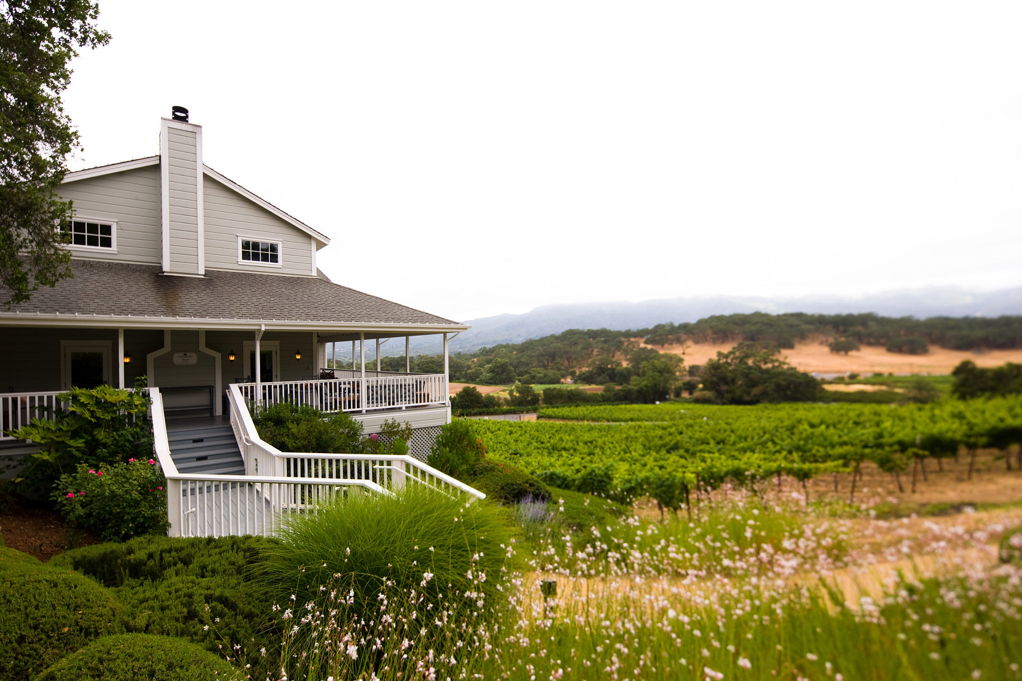 Knights Crown Vineyard Cabernet Sauvignon