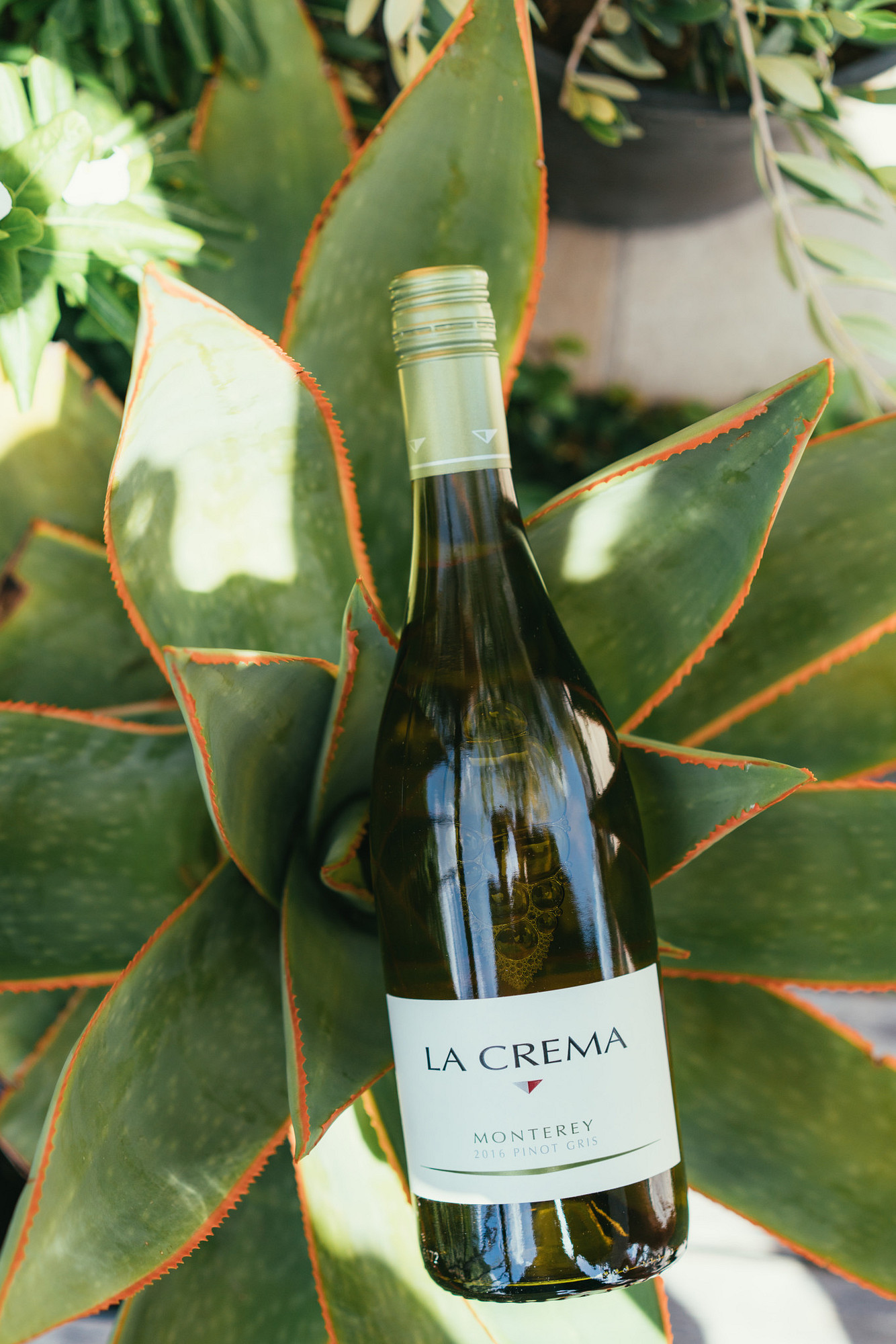 Monterey Pinot Gris